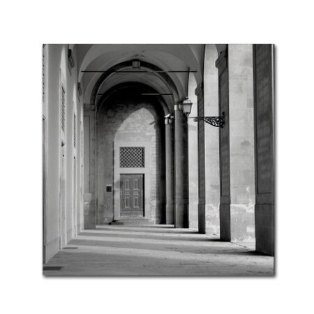 Trademark Fine Art Alan Blaustein 'Firenze III' Canvas Art, 18x18 ALI5160-C1818GG